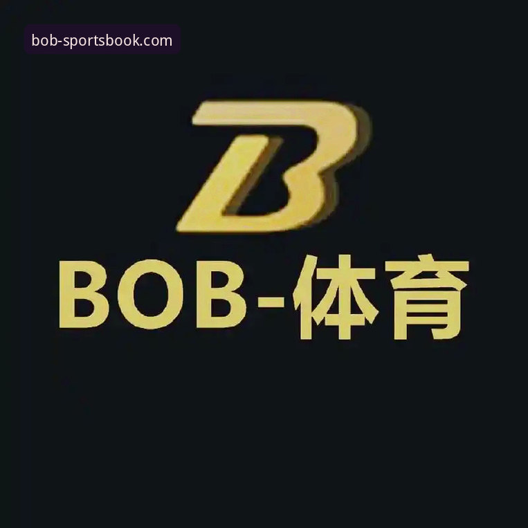 半岛BOB体育深度揭秘：一份老用户亲测的网页登录使用指南