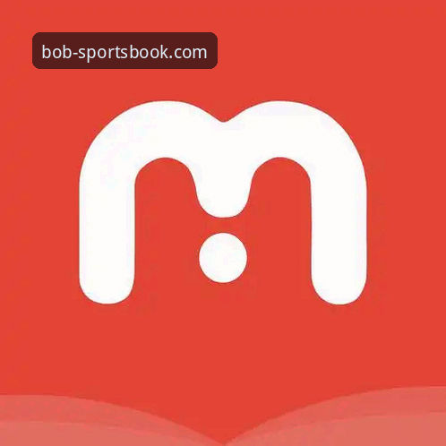 半岛BOB体育最新版本v2.1.0上线：赛事数据实时性深度解析与用户实测反馈
